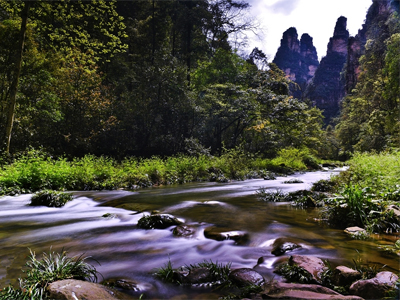 深度游玩核心景區—張家界國家森林公園
