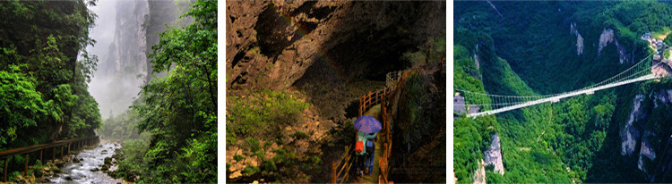 張家界跟團游,張家界自由行,張家界自駕游,張家界中國國際旅行社有限公司