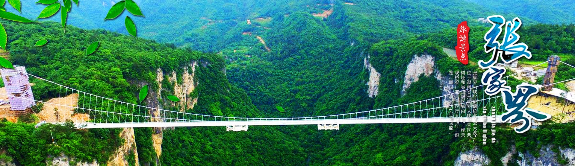 張家界中國國際旅行社有限公司_張家界跟團游|張家界自由行